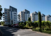 Thumbnail 1 of 5 - a row of apartment buildings on a city street