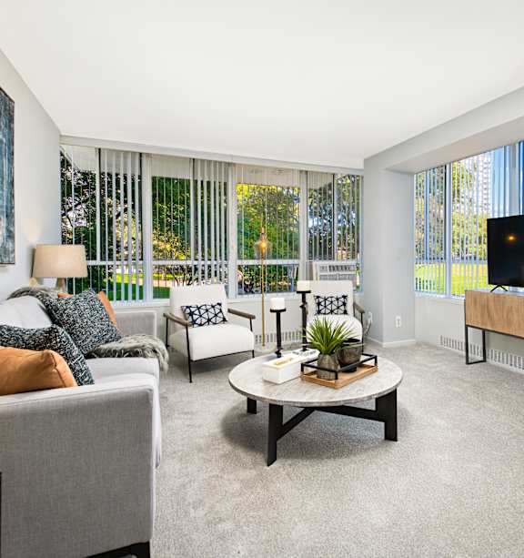 A living room with a grey couch, a coffee table, and a television.