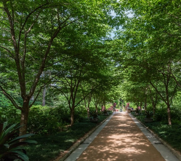 a path in a park with trees and plants at Viceroy Apartments, North Carolina, 27707