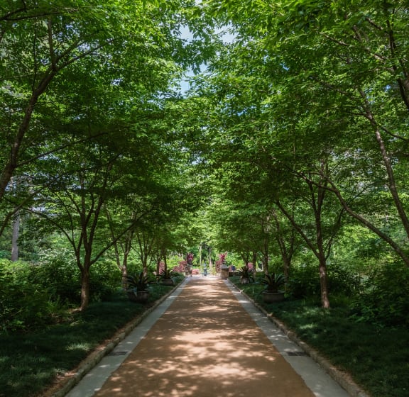 Viceroy Apartments Apartments in Durham, NC