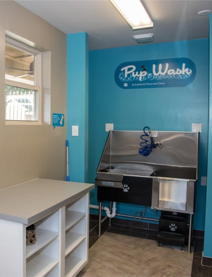 Pet Spa at Echo at Lake Norman, Mooresville, NC
