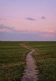 A dirt path leads through a grassy field.