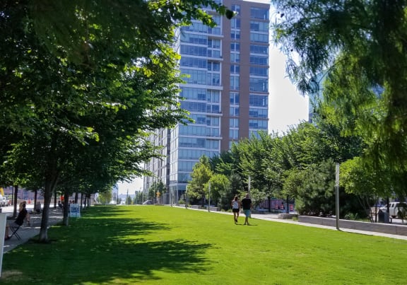 people walking on the grass in a park  at Allied Harbor Point, Baltimore