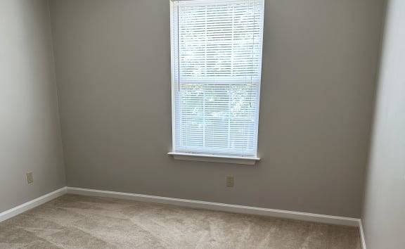 a bedroom with a large window and a carpeted floor at Woodgate, Charlottesville, Virginia
