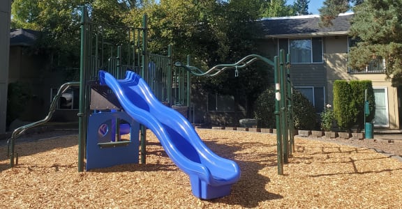 a playground with a blue slide in front of a house