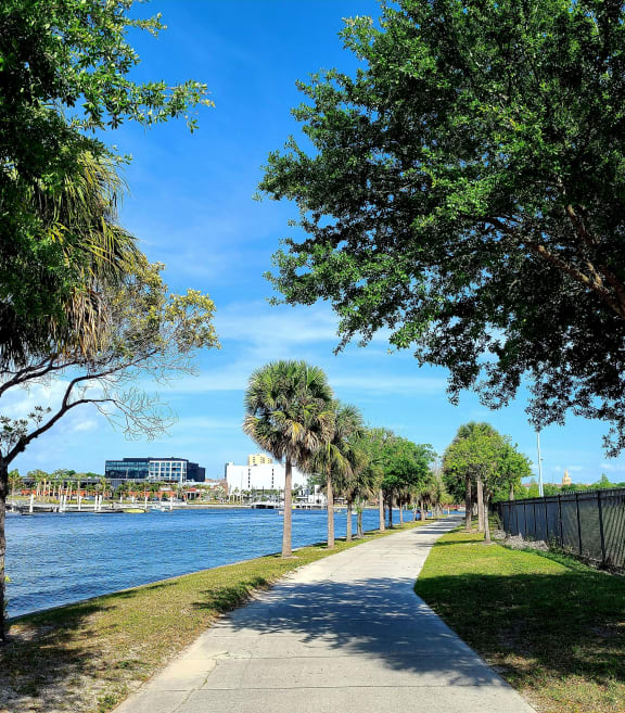 a path next to the water with palm trees
