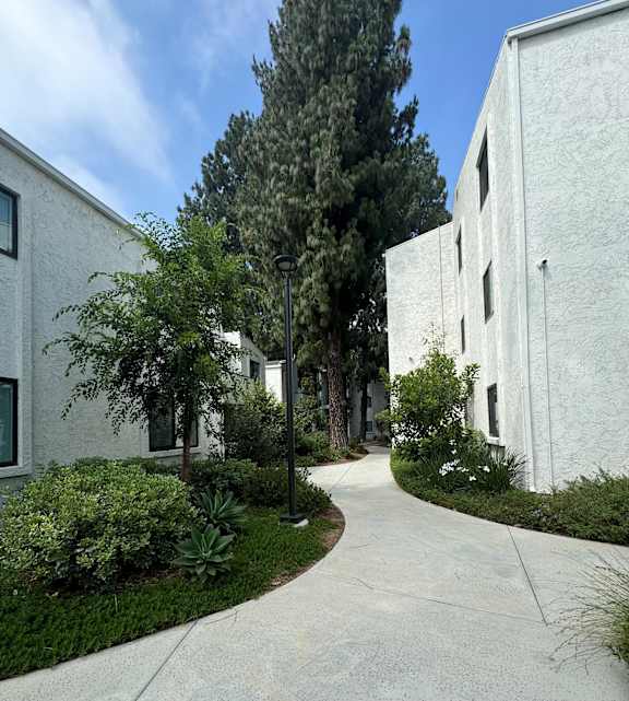 a walkway between two white buildings with trees and plants