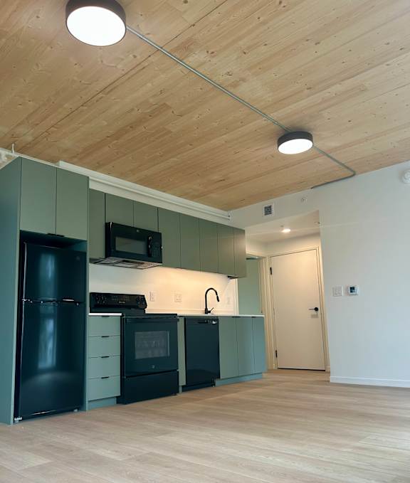 A kitchen with black appliances and green cabinets.