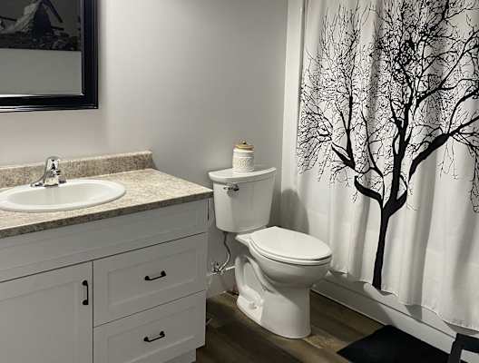 a bathroom with a shower curtain and a toilet and a sink