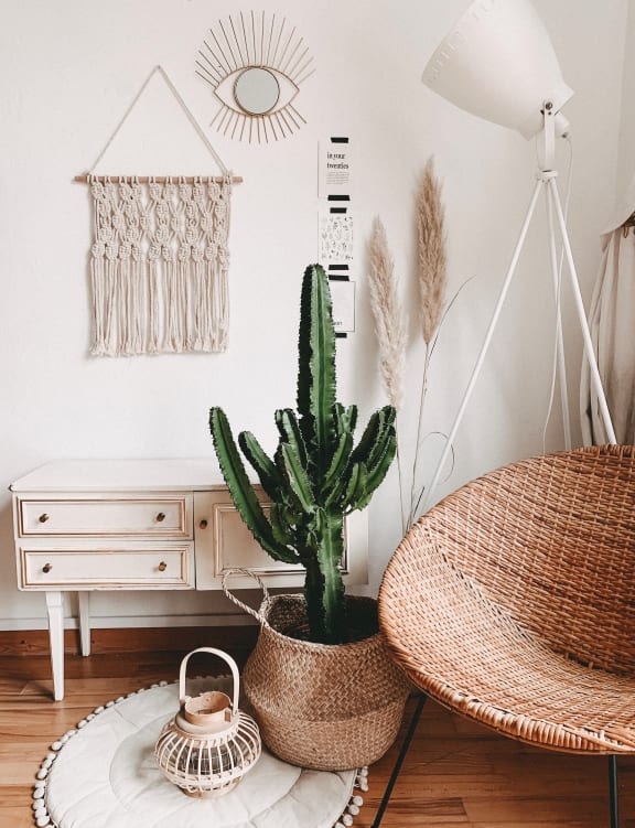 a living room with a cactus and a lamp