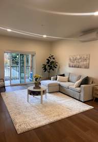 A living room with a couch and a potted plant.