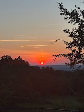 The sun is setting behind the trees in the distance.