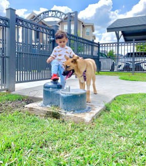 a young boy playing with his dog at a water fountain