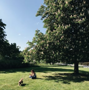 a woman and her dog in a park