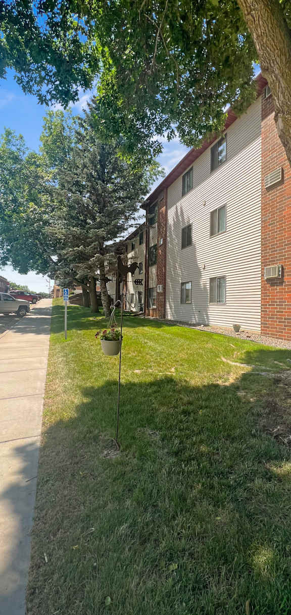 A tree is in front of a building.