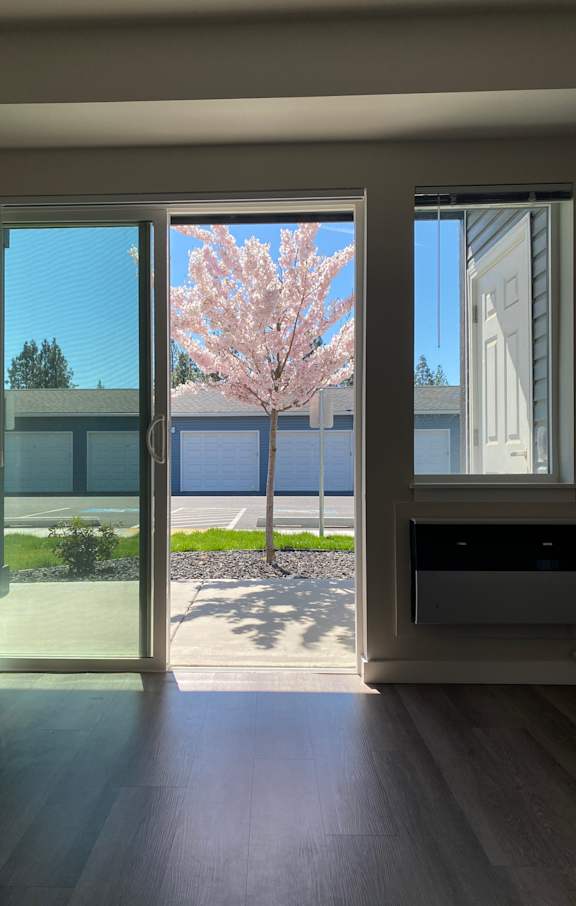 A window with a view of a tree and a building outside.