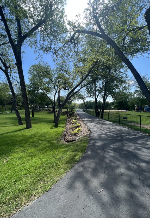 a view from the ground of a sidewalk and trees
