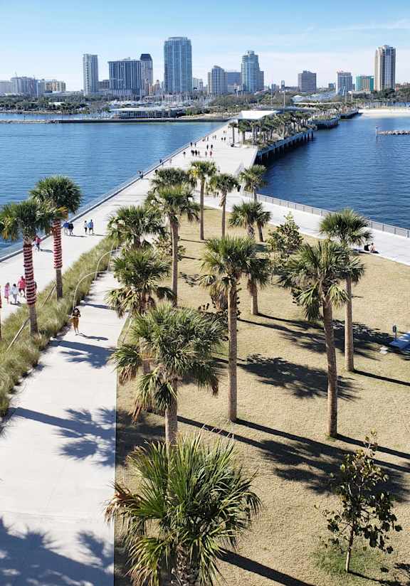 Palm trees line a walkway next to a body of water.