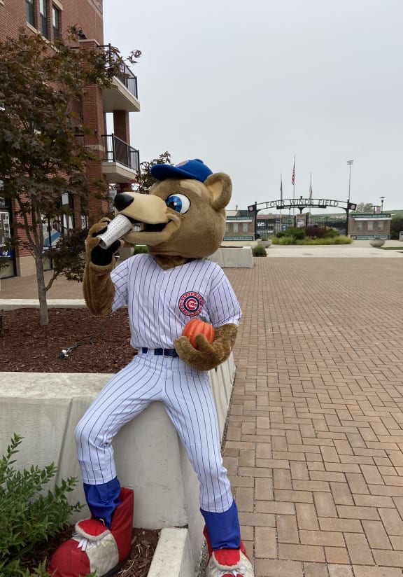 a teddy bear wearing a baseball uniform and holding a bottle