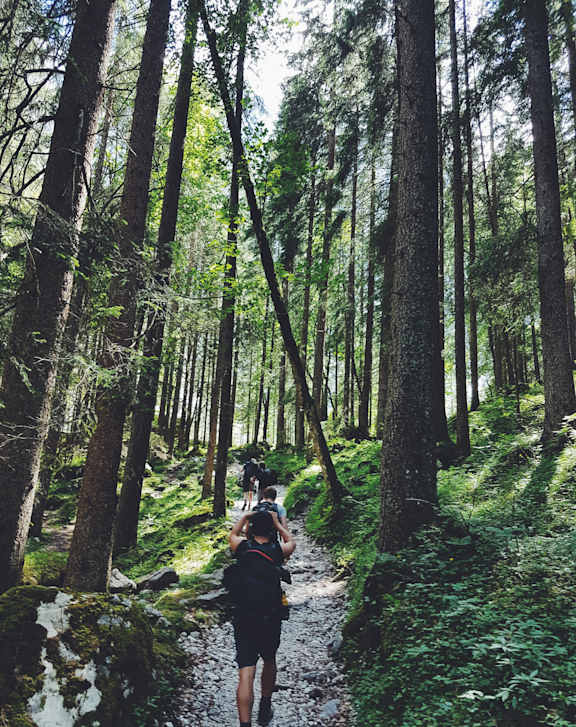 A person is hiking through a forest with tall trees and a narrow dirt path.