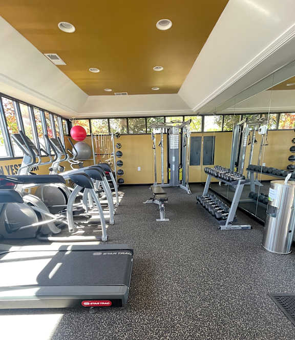 A row of exercise equipment is lined up in a room.