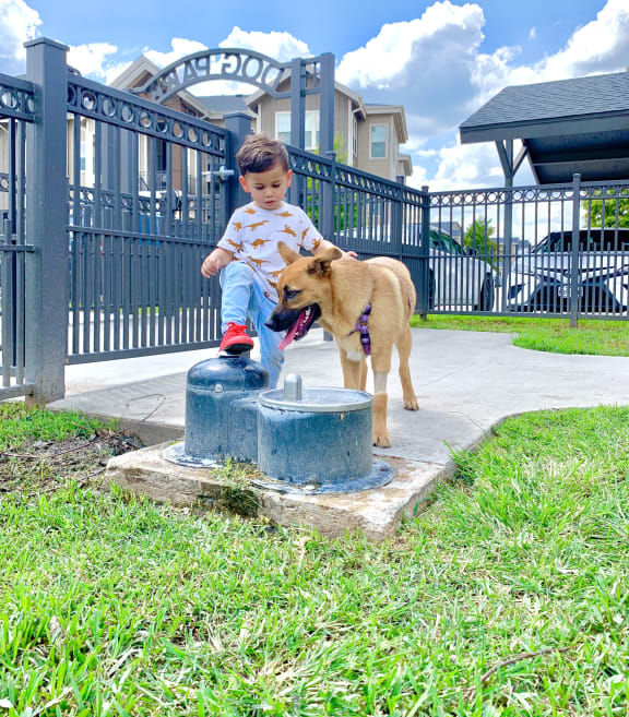 Dog Enjoying Dog Park at Houston Apartments 77077