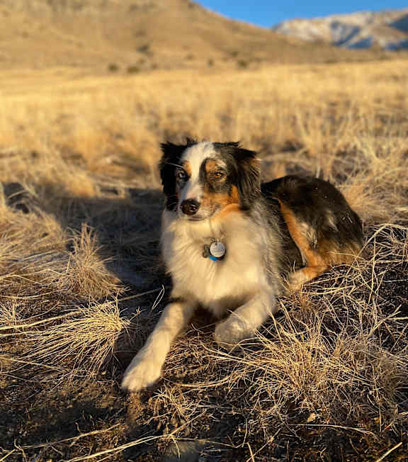 A Lowe's store is seen in the image.
