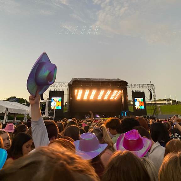 A person is holding up a purple hat in front of a large crowd at a concert.