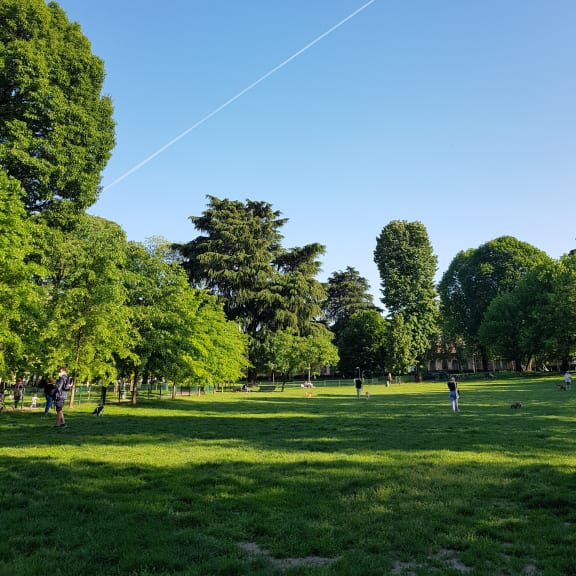 people in a park flying a kite