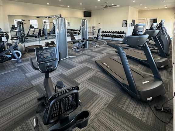 A row of treadmills are lined up in a gym.