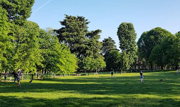 people in a park flying a kite