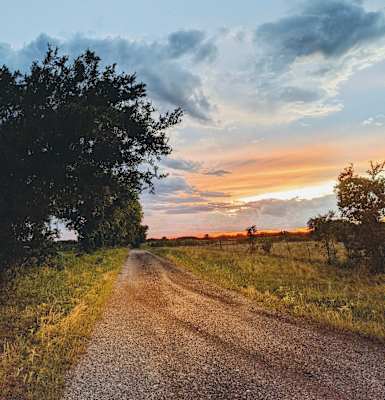 a dirt road with a tree and a sunset on the side of the road