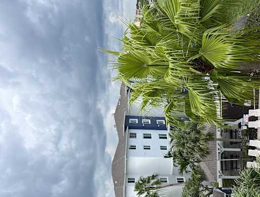 a view from above of a resort building with palm trees