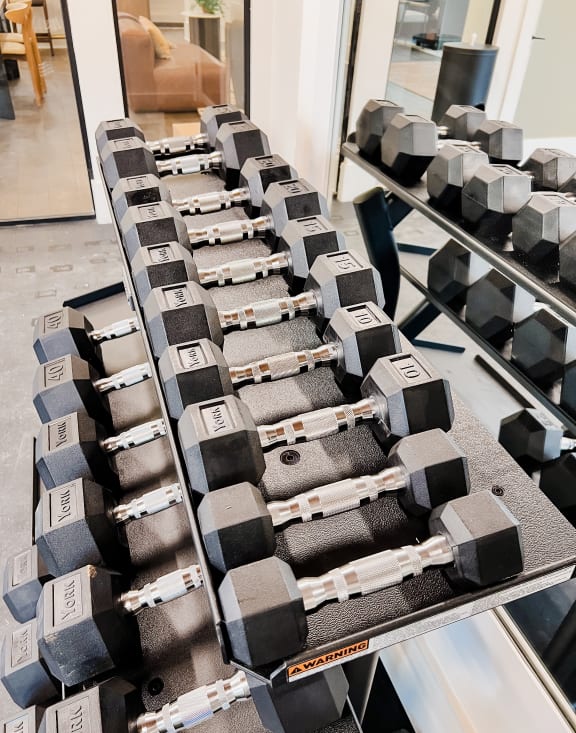 a row of dumbbells on a table in a gymat Hamilton Reserve, North Carolina, 27407