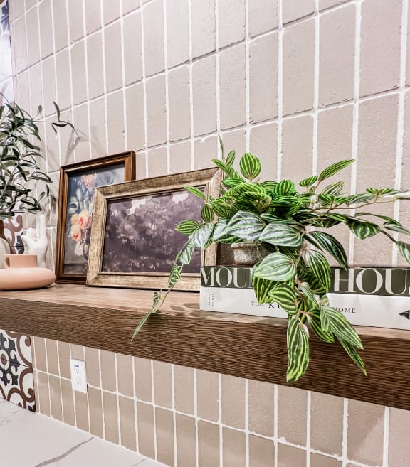 a bathroom shelf with pictures and a plant on itat Hamilton Reserve, Greensboro, NC