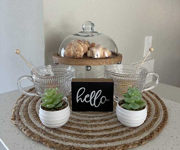 a kitchen counter with a tray of croissants and pots of succulents