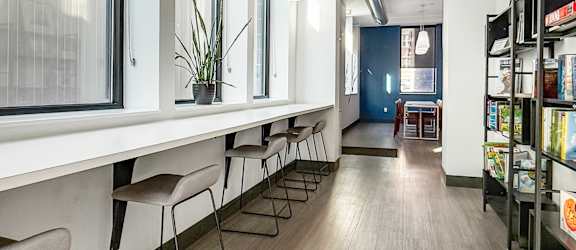 A long white table with chairs and a plant on it.