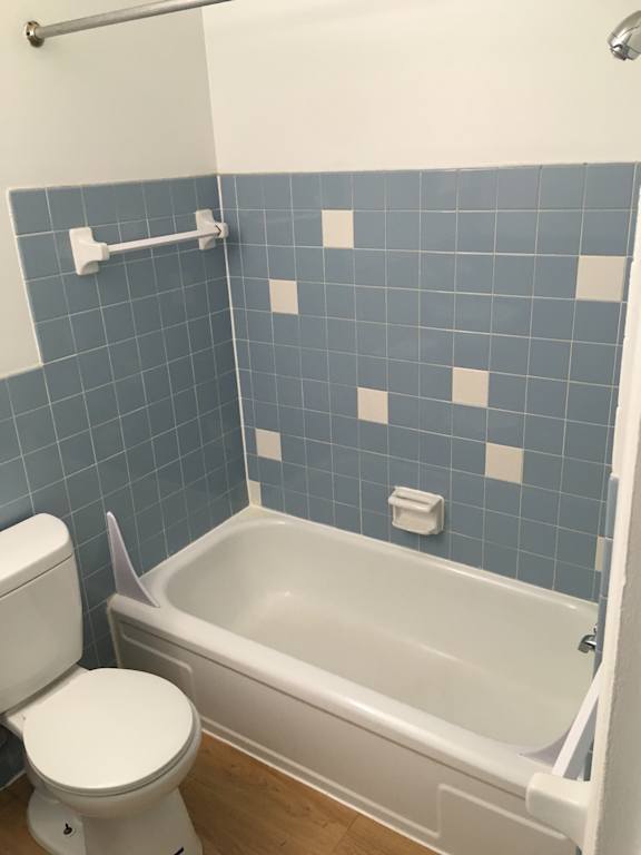 a bathroom with a toilet and a bath tub