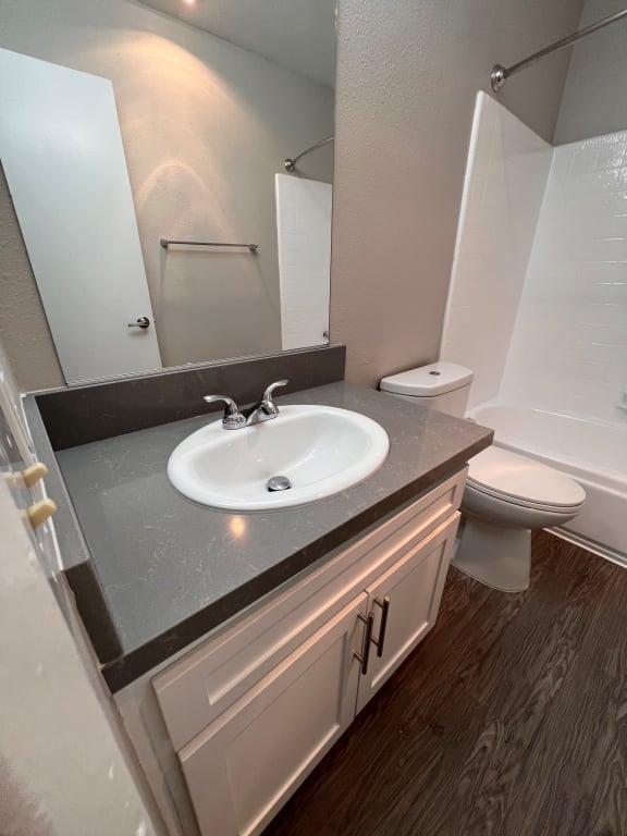 a bathroom with a sink and a toilet