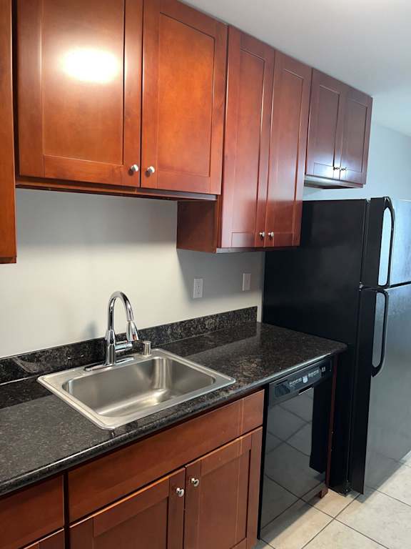 a kitchen with a sink and a black refrigerator