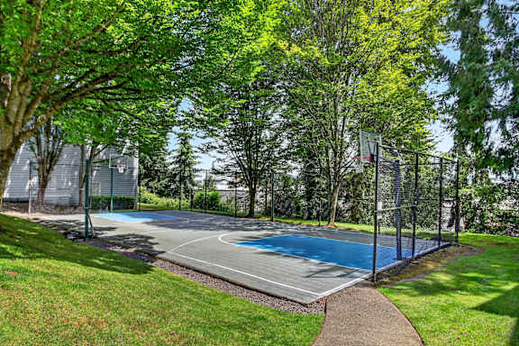 A basketball court surrounded by green trees and grass.