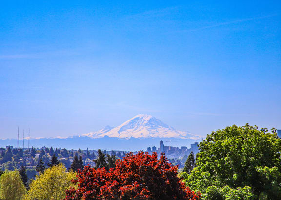a view of mount fuji with the city in the background