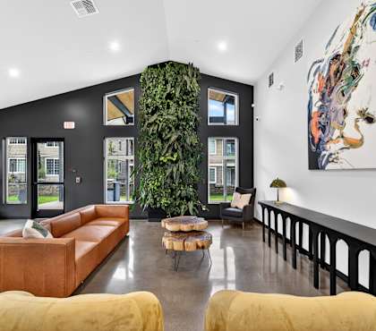 A living room with a large couch and a green plant.