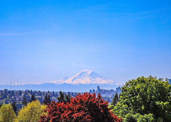 a view of mount fuji with the city in the background