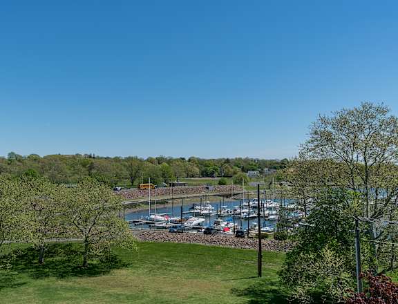a view of the marina from the hill