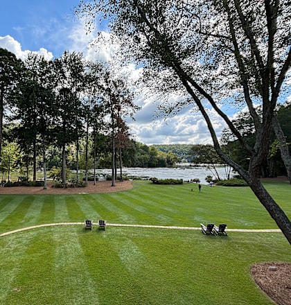 a lawn with trees and a river in the background