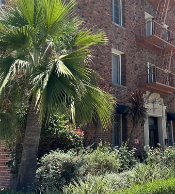 a tall brick building with a tree in front of it