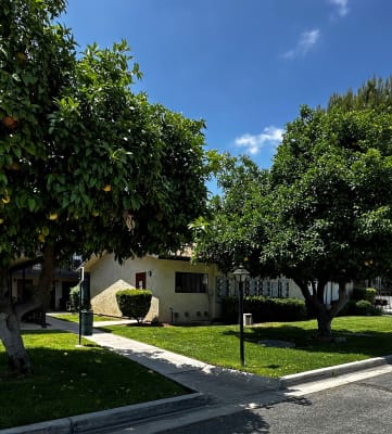 a house with a tree in front of it
