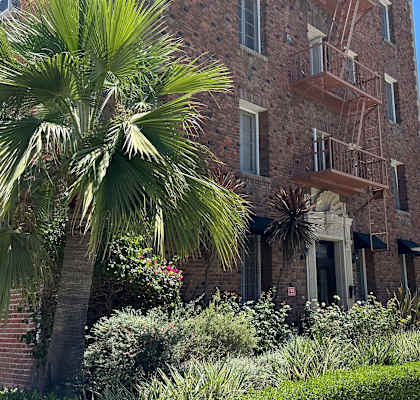 a tall brick building with a tree in front of it