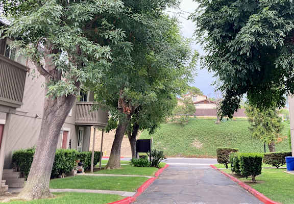 a pathway lined with trees and bushes in front of an apartment complex